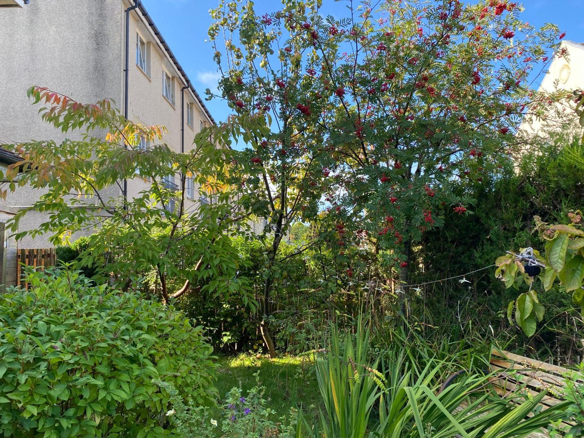 Caledonia House Bed & Breakfast Rosyth Exterior photo